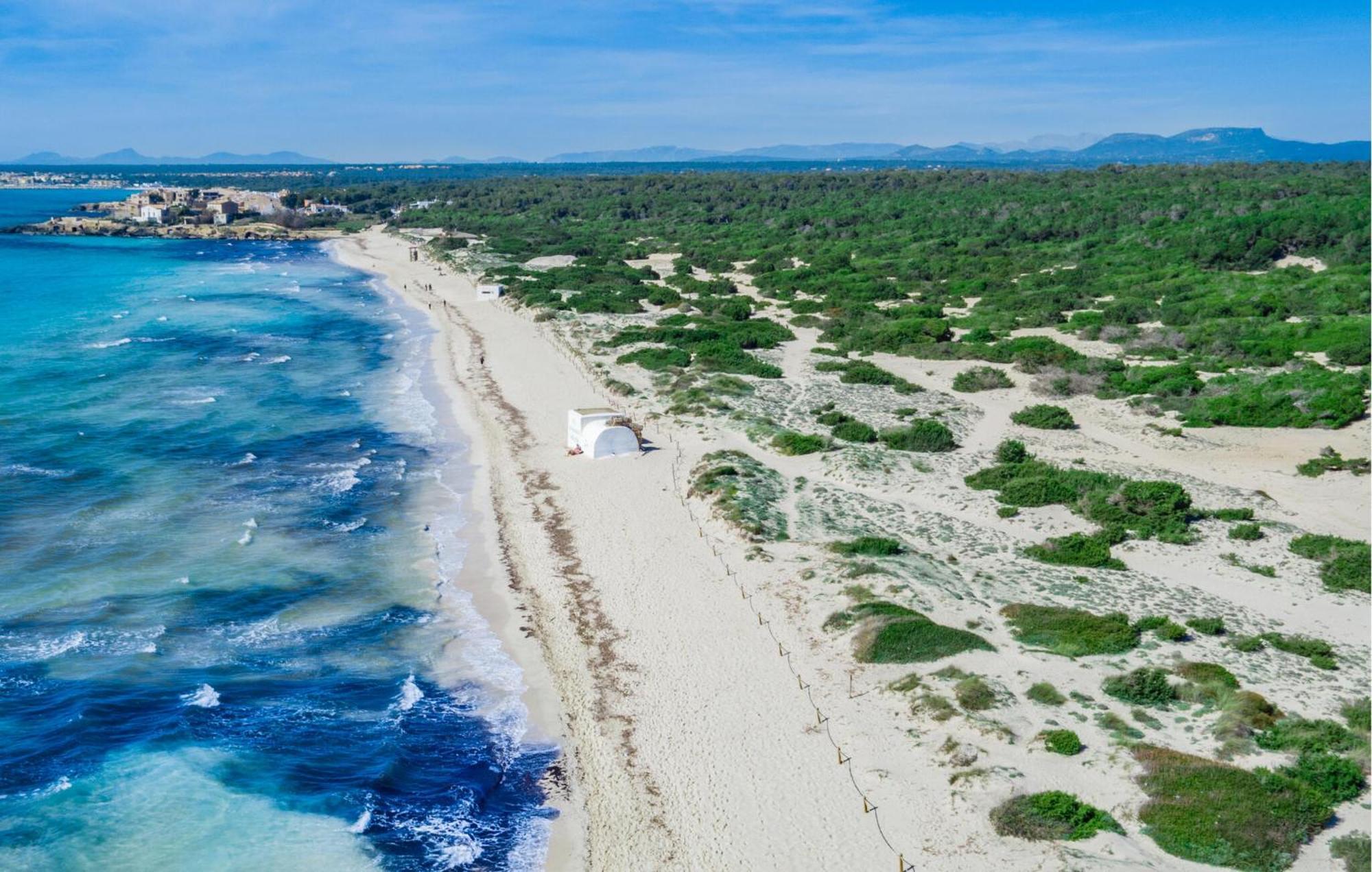Palea * Campos (Mallorca)